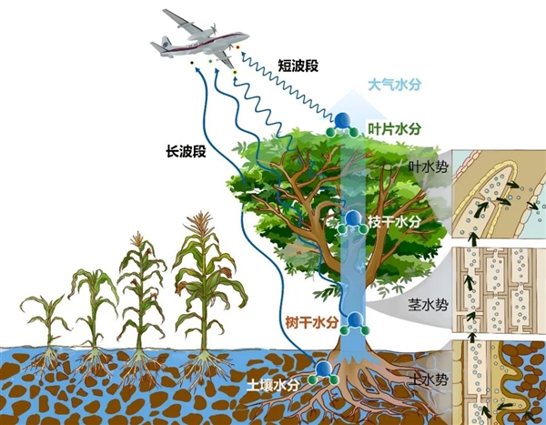 國際首次！中國航空遙感系統(tǒng)試驗成功